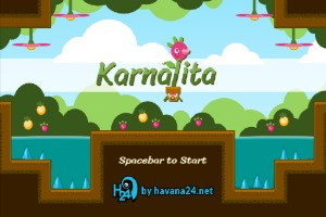 Karnalitlita