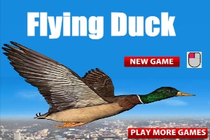 Flying-Duck