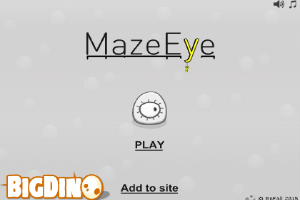 MazeEye