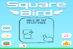 Square-Bird